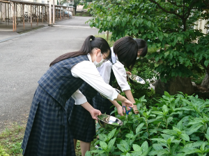 群馬県立桐生工業高校の制服写真画像まとめ・レビュー口コミ評判・生徒の着こなし・夏服冬服詳細情報