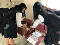埼玉県立川越総合高校の制服写真画像動画まとめ・レビュー口コミ評判・生徒の着こなし・夏服冬服詳細情報