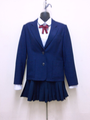 愛知県立日進西高校の制服写真画像動画まとめ・レビュー口コミ評判・生徒の着こなし・夏服冬服詳細情報