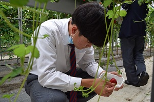 静岡県立松崎高校の制服写真画像まとめ・レビュー口コミ評判・生徒の着こなし・夏服冬服詳細情報