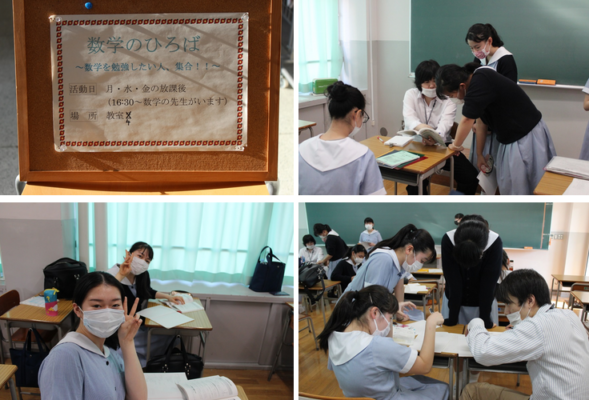 ヴェリタス城星学園中学校 高校の制服画像 評判 制服ランキング 制服グラム 全国中学校高等学校制服検索