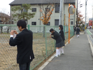 大阪狭山市立狭山中学校制服写真画像まとめ・レビュー口コミ評判・生徒の着こなし・夏服冬服詳細情報