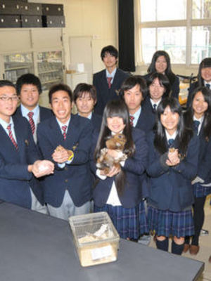 栃木県立宇都宮白楊高校の制服写真画像まとめ・レビュー口コミ評判・生徒の着こなし・夏服冬服詳細情報│全国中高制服グラム全国47都道府県の中学校