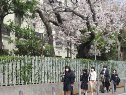 横浜共立学園中学高校の制服画像まとめ・口コミ評判・制服詳細レビュー