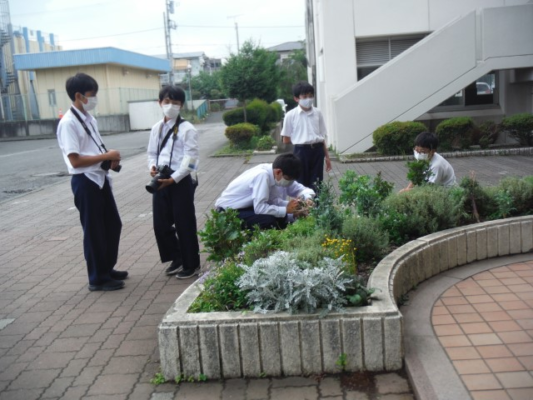愛川町立愛川東中学校の制服写真画像動画まとめ・レビュー口コミ評判・生徒の着こなし・夏服冬服詳細情報