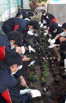 名古屋市立若葉中学校の制服写真画像動画まとめ・レビュー口コミ評判・生徒の着こなし・夏服冬服詳細情報