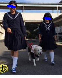 犬山市立南部中学校の制服写真画像まとめ・レビュー口コミ評判・生徒の着こなし・新制服旧制服比較【2021/令和3年度新制服】学ランセーラー服廃止