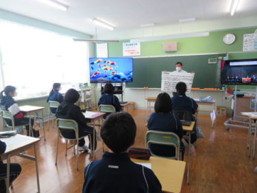 Περίληψη φωτογραφίας στολή του Δημοτικού Γυμνασίου Εσάν του Hakodate, ανασκόπηση από στόμα σε στόμα, καλοκαιρινά ρούχα χειμερινά ρούχα λεπτομερείς πληροφορίες
