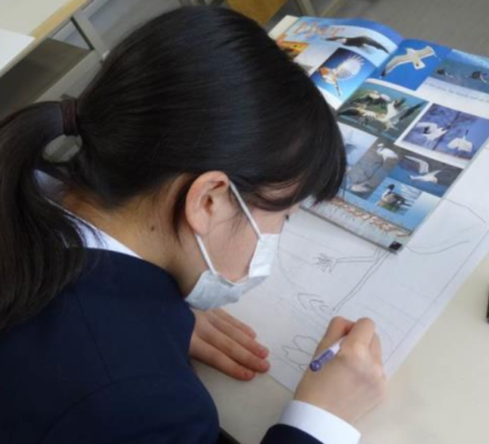 札幌市立中島中学校の制服写真画像まとめ・レビュー口コミ評判・夏服冬服詳細情報