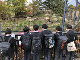 札幌市立札苗北中学校の制服写真画像まとめ・レビュー口コミ評判・夏服冬服詳細情報