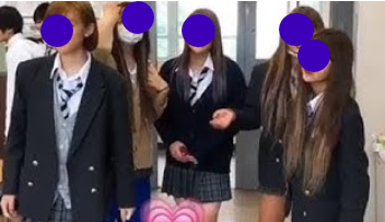 神奈川県立田奈高校の制服写真画像動画tiktokまとめ・レビュー口コミ評判・生徒の着こなし・夏服冬服詳細情報