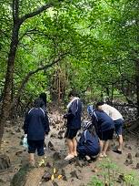 大阪府立北かわち皐が丘高校の制服写真画像動画まとめ・レビュー口コミ評判・生徒の着こなし・夏服冬服詳細情報