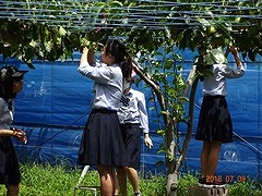 千葉県立鎌ヶ谷高校の制服写真画像まとめ・レビュー口コミ評判・生徒の着こなし・夏服冬服詳細情報