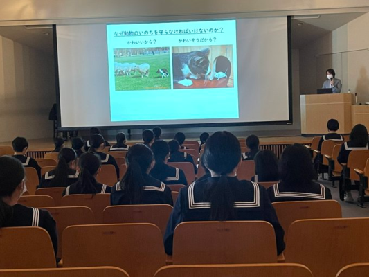 比治山女子中学高校の制服写真画像動画まとめ・レビュー口コミ評判・生徒の着こなし・夏服冬服詳細情報