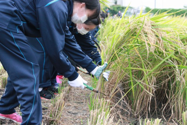 獨協埼玉中学高校の制服写真画像動画まとめ・レビュー口コミ評判・生徒の着こなし・夏服冬服詳細情報
