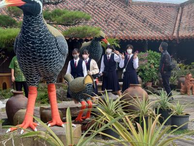 愛媛県立松山北高校の制服写真画像動画まとめ・レビュー口コミ評判・生徒の着こなし・夏服冬服詳細情報