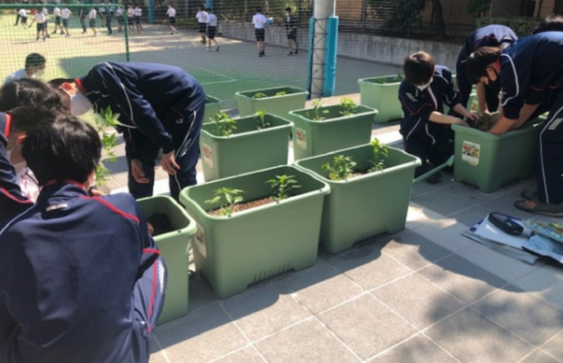 成城中学高校の制服写真画像まとめ・レビュー口コミ評判・生徒の着こなし・夏服冬服詳細情報