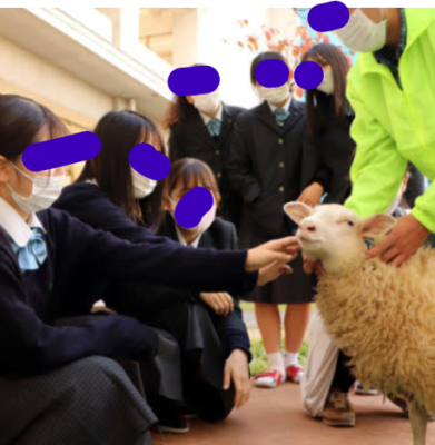 福山市立福山中学高校の制服写真画像まとめ・レビュー口コミ評判・生徒の着こなし・夏服冬服詳細情報