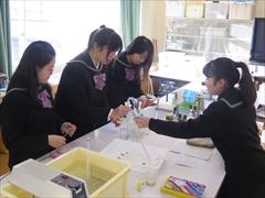兵庫県立須磨東高校の制服写真画像動画まとめ・レビュー口コミ評判・生徒の着こなし・夏服冬服詳細情報