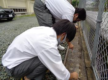 【閉校廃校】奈良県立吉野高校の制服写真画像動画まとめ・レビュー口コミ評判・生徒の着こなし・夏服冬服詳細情報