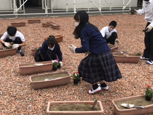 奈良育英中学高校の制服写真画像動画まとめ・レビュー口コミ評判・新制服旧制服比較【2020/令和4年度新制服】