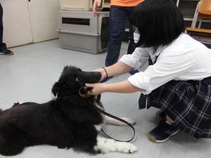茨城県立真壁高校の制服写真画像動画まとめ・レビュー口コミ評判・生徒の着こなし・夏服冬服詳細情報