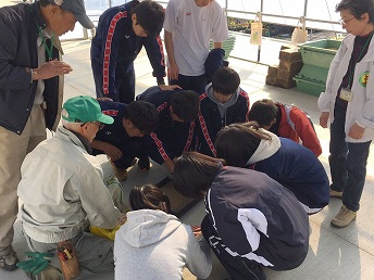 兵庫県立尼崎北高校の制服写真画像まとめ・レビュー口コミ評判・生徒の着こなし・夏服冬服詳細情報