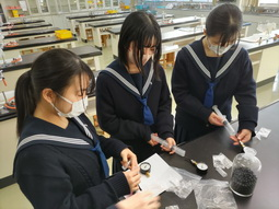 広島新庄中学高校の制服写真画像動画まとめ・レビュー口コミ評判・生徒の着こなし・夏服冬服詳細情報