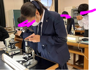 千葉県立柏高校の制服写真画像動画まとめ・レビュー口コミ評判・生徒の着こなし・夏服冬服詳細情報