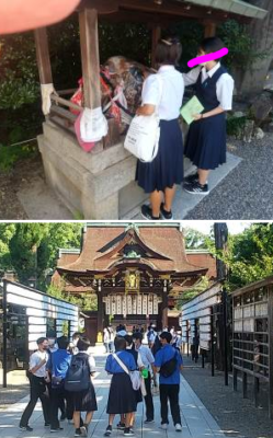 袖ケ浦市立昭和中学校の制服写真画像まとめ・レビュー口コミ評判・体操服ジャージ・夏服冬服詳細情報│全国中高制服グラム全国47都道府県の中学校