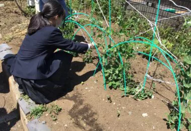 東京女子学院中学高校の制服写真画像動画まとめ・レビュー口コミ評判・生徒の着こなし・新旧制服比較