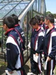 南房総市立富浦中学校の制服写真画像まとめ・レビュー口コミ評判・体操服ジャージ・夏服冬服詳細情報