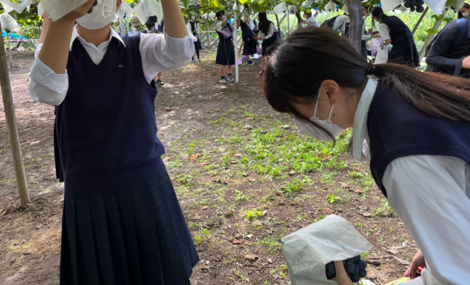 東京都立瑞穂農芸高校の制服写真画像動画まとめ・レビュー口コミ評判・生徒の着こなし・夏服冬服詳細情報