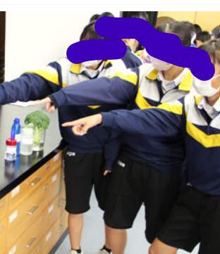 千葉市立松ヶ丘中学校の制服写真画像まとめ・レビュー口コミ評判・体操服ジャージ・夏服冬服詳細情報│全国中高制服グラム全国47都道府県の中学校