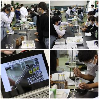 西宮市立苦楽園中学校の制服写真画像動画まとめ・レビュー口コミ評判・体操服ジャージ・夏服冬服詳細情報
