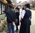 賢明女子学院中学高校の制服写真画像動画まとめ・レビュー口コミ評判・生徒の着こなし・夏服冬服詳細情報