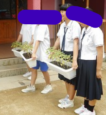 田川市立弓削田中学校の制服写真画像まとめ・レビュー口コミ評判・生徒の着こなし・夏服冬服詳細情報