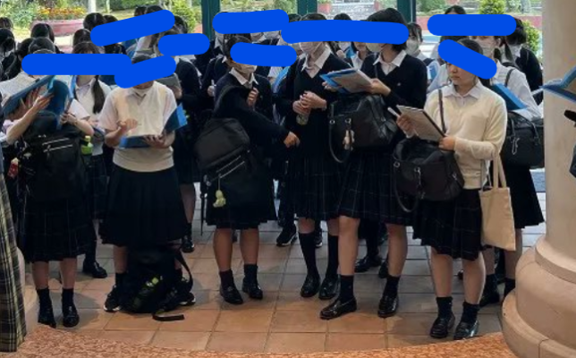 共立女子中学高校の制服写真画像動画まとめ・レビュー口コミ評判・生徒の着こなし・夏服冬服詳細情報